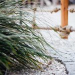 Herbe, corde, poteau en bois, gravier et chemin de pierre
